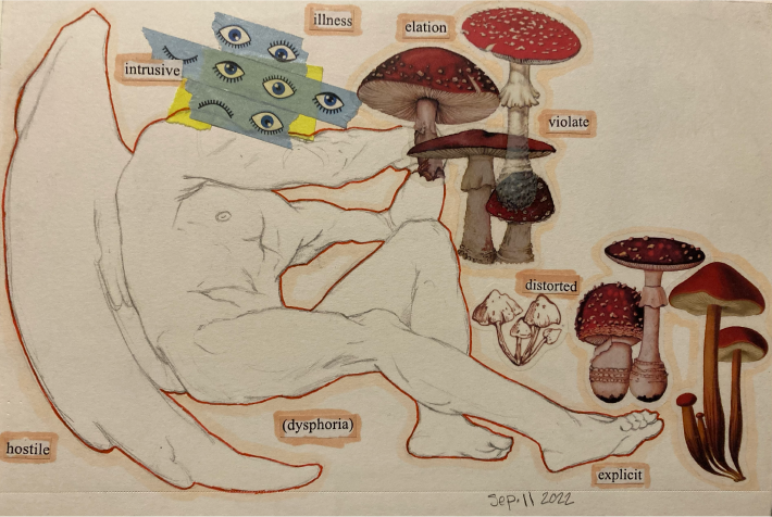 This is a recreation of Alexandre Cabanel, its a sketch done with blue eyed washi tape and mushroom stickers. It's done traditionally.
